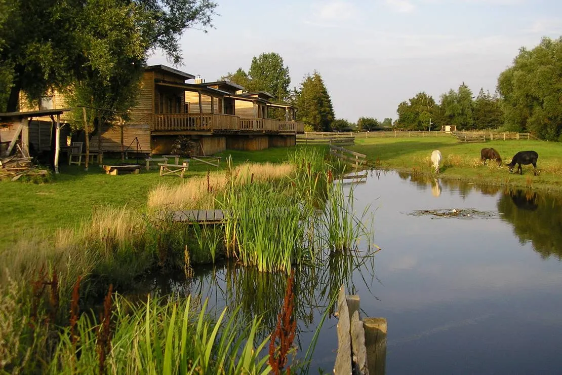 horse-lake-ranch-neuendorf-vmvrf
