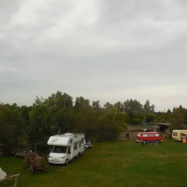 horse-lake-ranch-neuendorf-vyymo