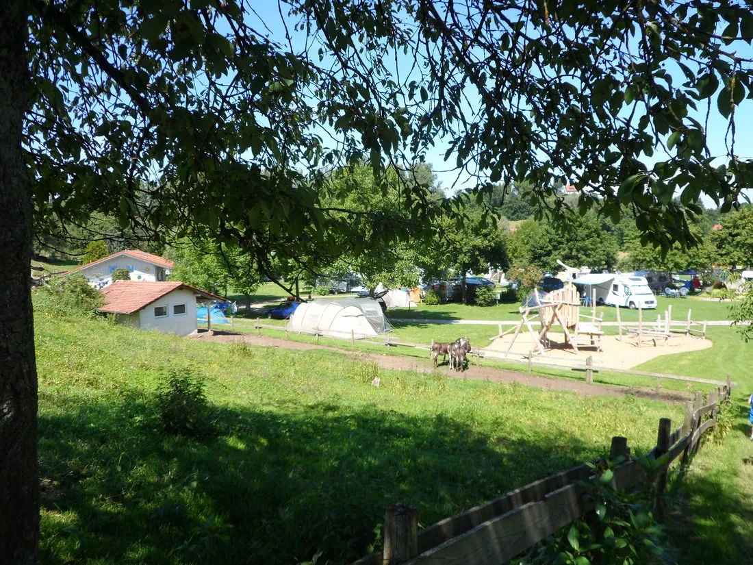 am-bauernhof-kramer-oberteuringen-6fkxr