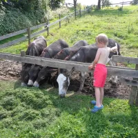 am-bauernhof-kramer-oberteuringen-qiubf