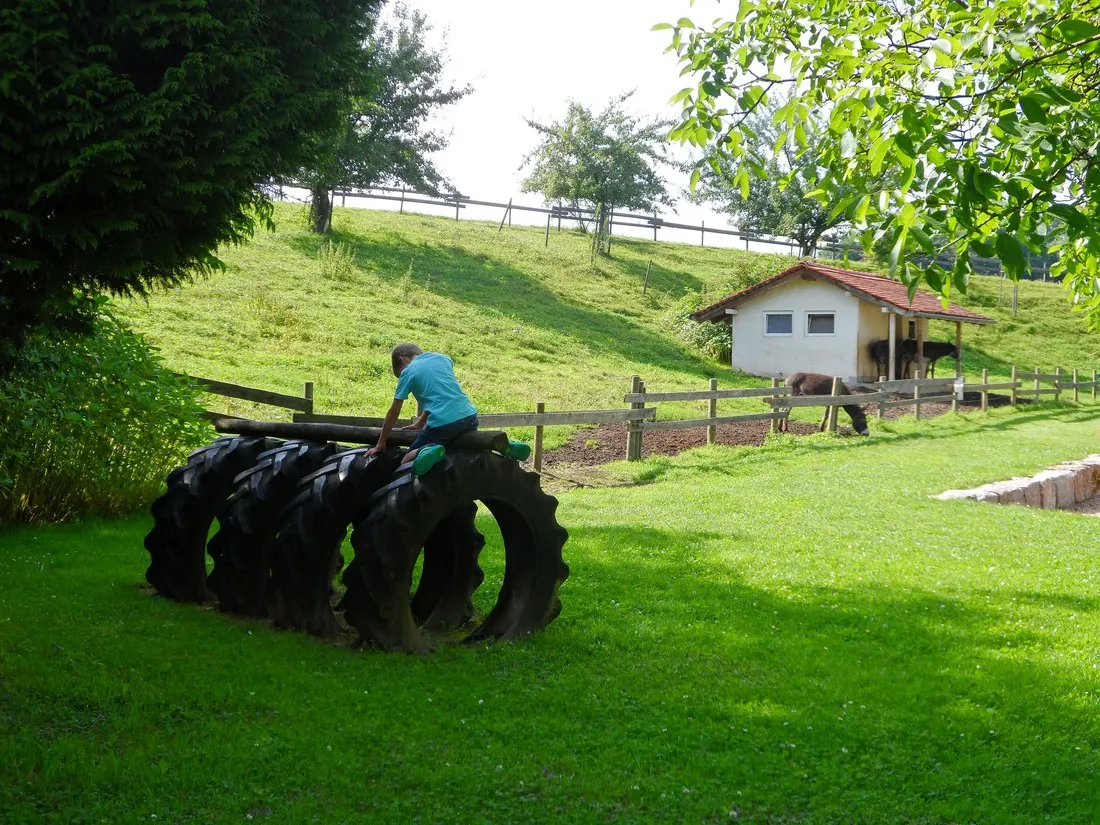 am-bauernhof-kramer-oberteuringen-tziww
