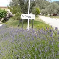la-gautiere-buis-les-baronnies-0pm6c