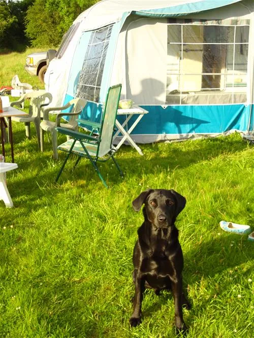 denfurlong-farm-caravan-campsite-chedworth-6mdnm