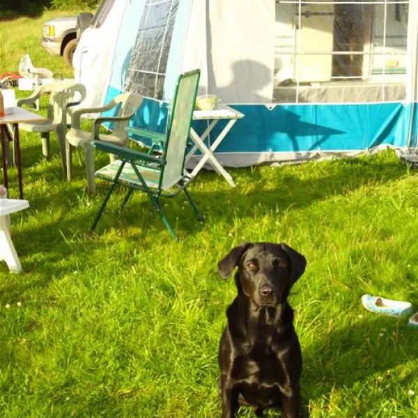 denfurlong-farm-caravan-campsite-chedworth-6mdnm