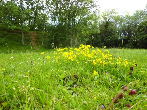 denfurlong-farm-caravan-campsite-chedworth-aqg7p