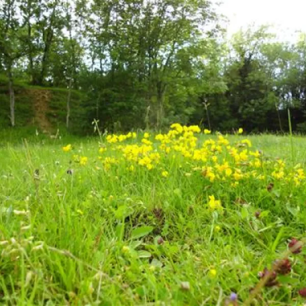 denfurlong-farm-caravan-campsite-chedworth-aqg7p