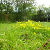 denfurlong-farm-caravan-campsite-chedworth-aqg7p