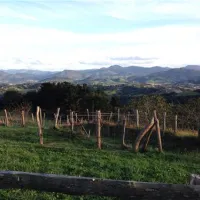 camping-igueldo-san-sebastian-ctnet