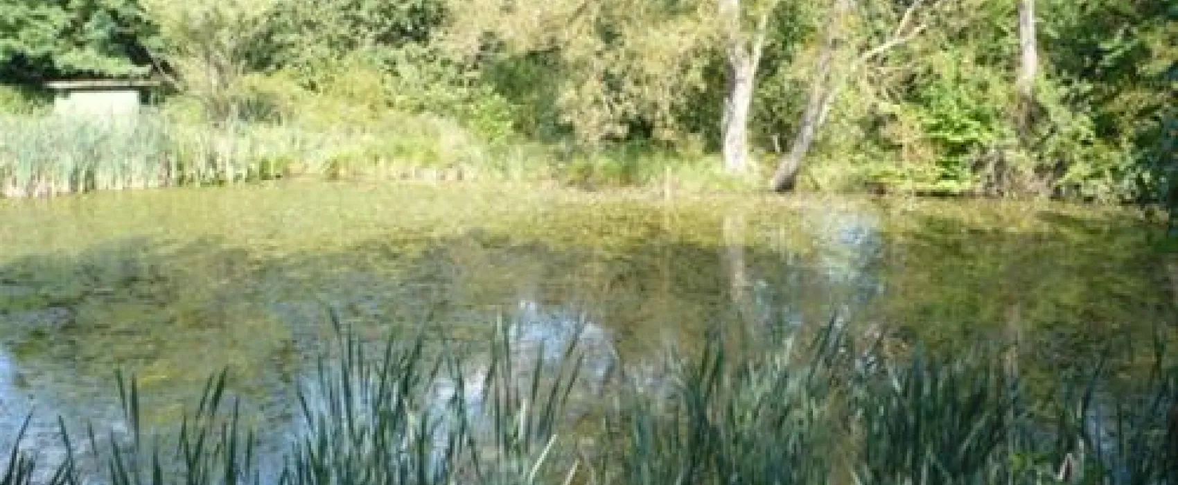 Ochsenbusch Park