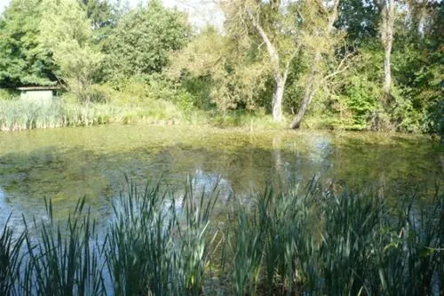 ochsenbusch-park-eisenberg-8zbnc