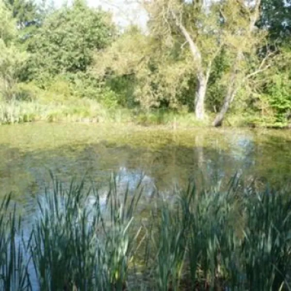 ochsenbusch-park-eisenberg-8zbnc