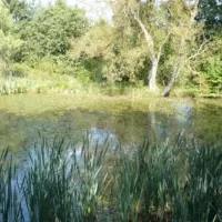 ochsenbusch-park-eisenberg-8zbnc