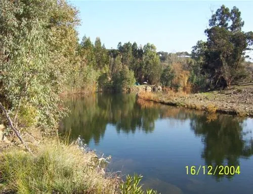 parque-de-campismo-serro-da-bica-ourique-bjypq