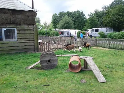 camping-zeeburg-amsterdam-uu0xs