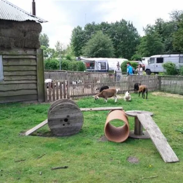 camping-zeeburg-amsterdam-uu0xs