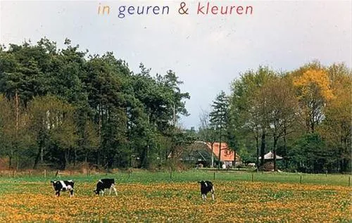 camping-de-roos-ommen-7na55
