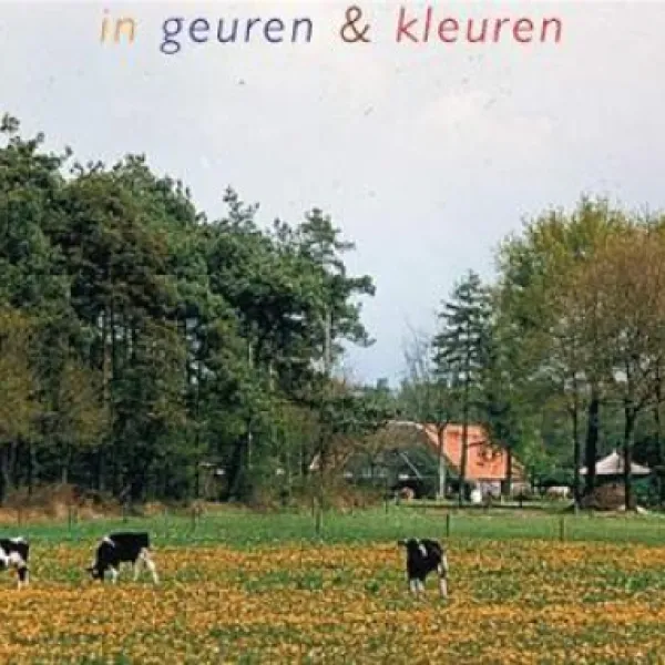 camping-de-roos-ommen-7na55