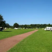 camping-de-roos-ommen-8msyz