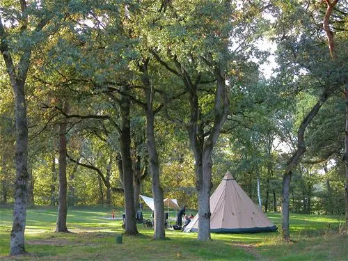 camping-de-roos-ommen-chxm6