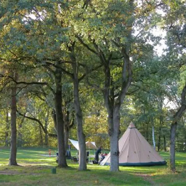 camping-de-roos-ommen-chxm6