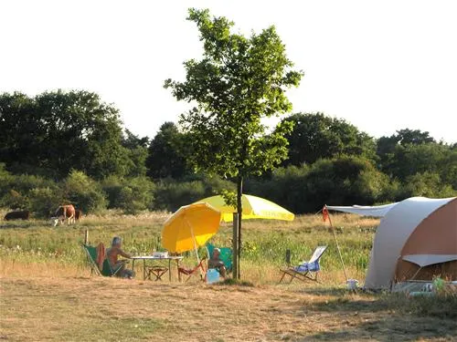 camping-de-roos-ommen-gigmt