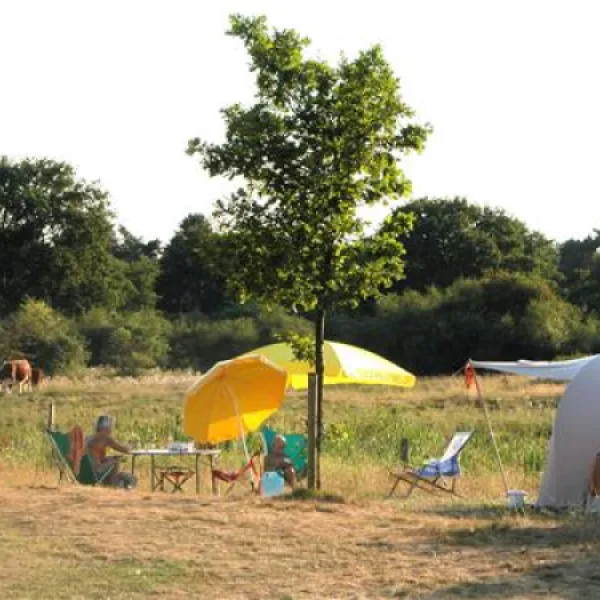 camping-de-roos-ommen-gigmt