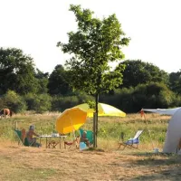 camping-de-roos-ommen-gigmt