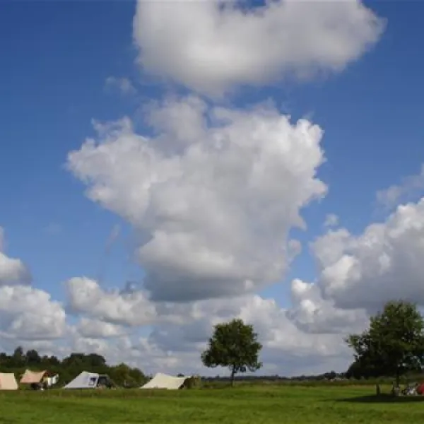camping-de-roos-ommen-gyluh