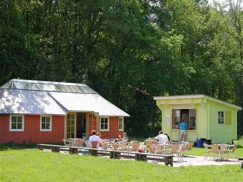 camping-de-roos-ommen-igoq4