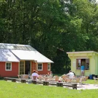 camping-de-roos-ommen-igoq4