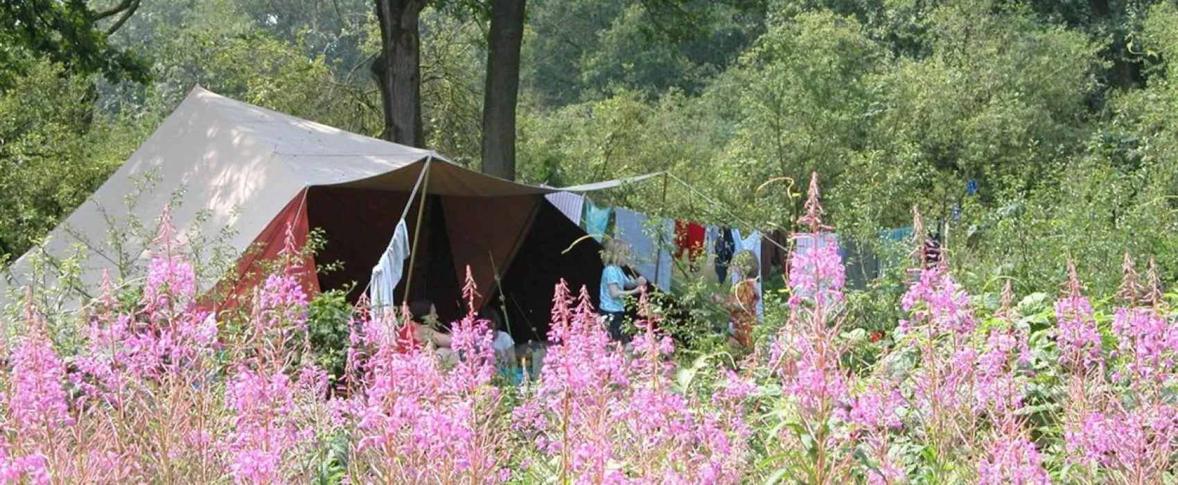 Camping De Roos