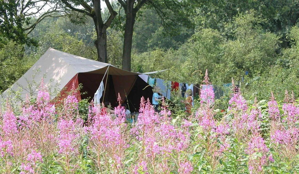 camping-de-roos-ommen-jmndd