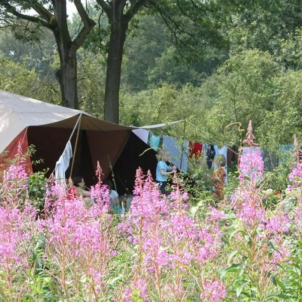 camping-de-roos-ommen-jmndd