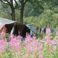 camping-de-roos-ommen-jmndd
