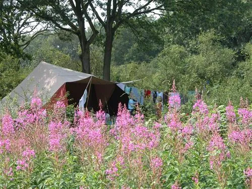 camping-de-roos-ommen-qnilz