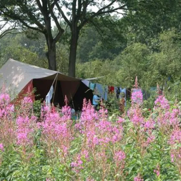 camping-de-roos-ommen-qnilz