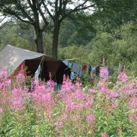 camping-de-roos-ommen-qnilz