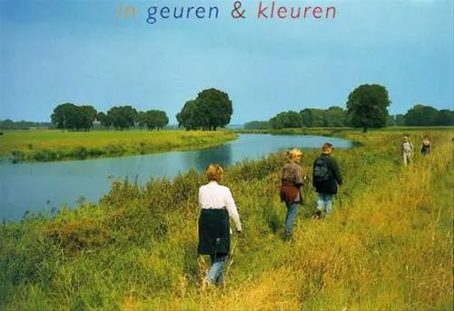 camping-de-roos-ommen-qx8pp