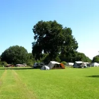 camping-de-roos-ommen-tjbs8