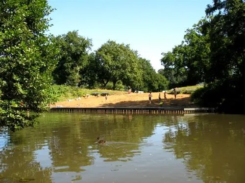 camping-de-roos-ommen-y1gsy