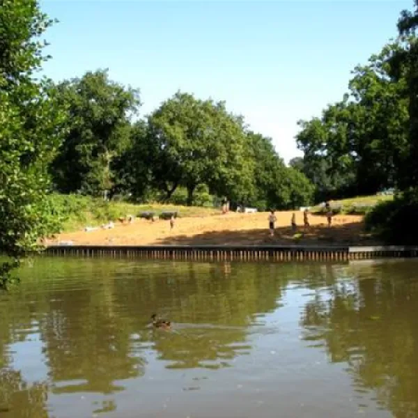 camping-de-roos-ommen-y1gsy