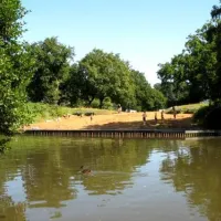 camping-de-roos-ommen-y1gsy