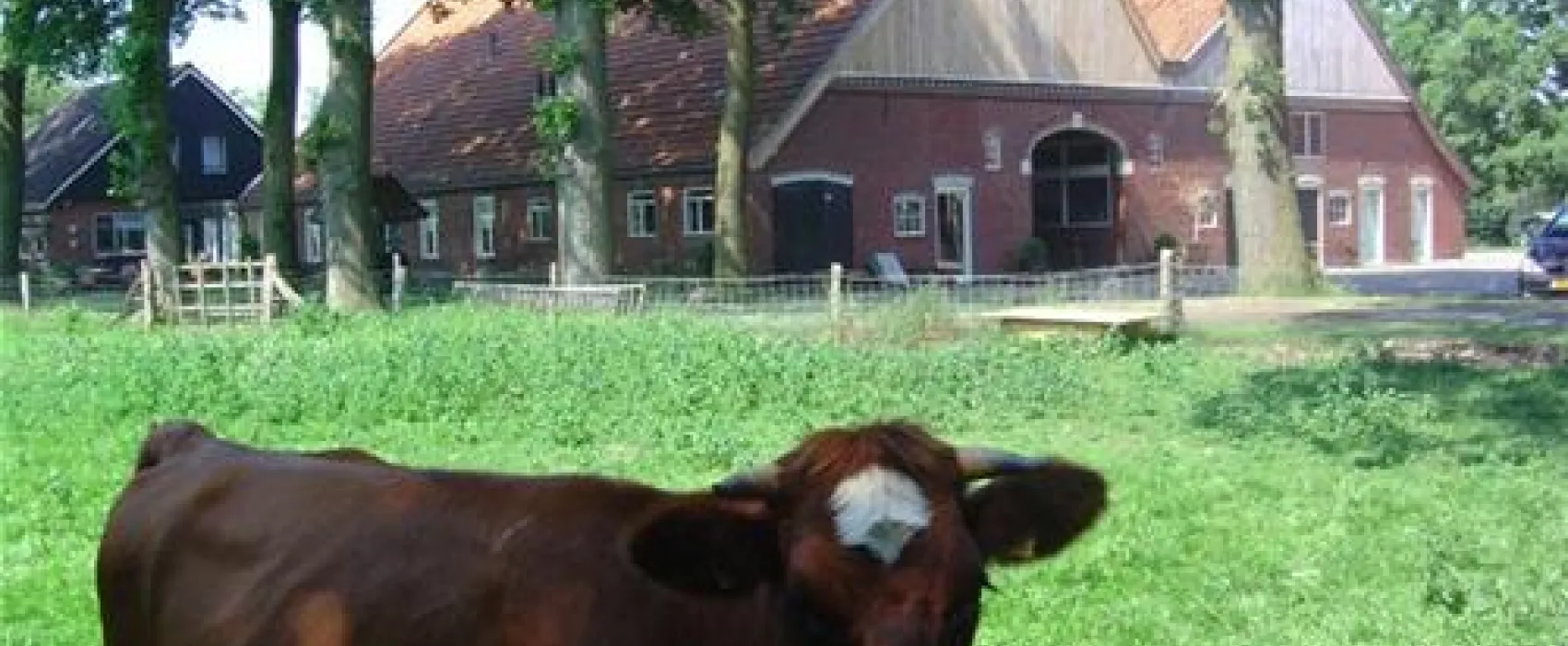 Erfgoed Bossem