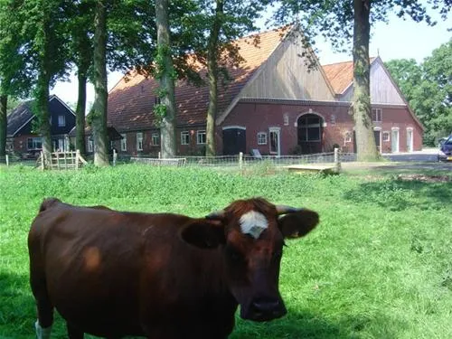 erfgoed-bossem-lattrop-breklenkamp-mbtd8