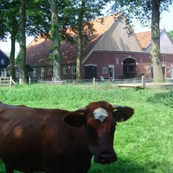 erfgoed-bossem-lattrop-breklenkamp-mbtd8