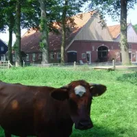erfgoed-bossem-lattrop-breklenkamp-mbtd8
