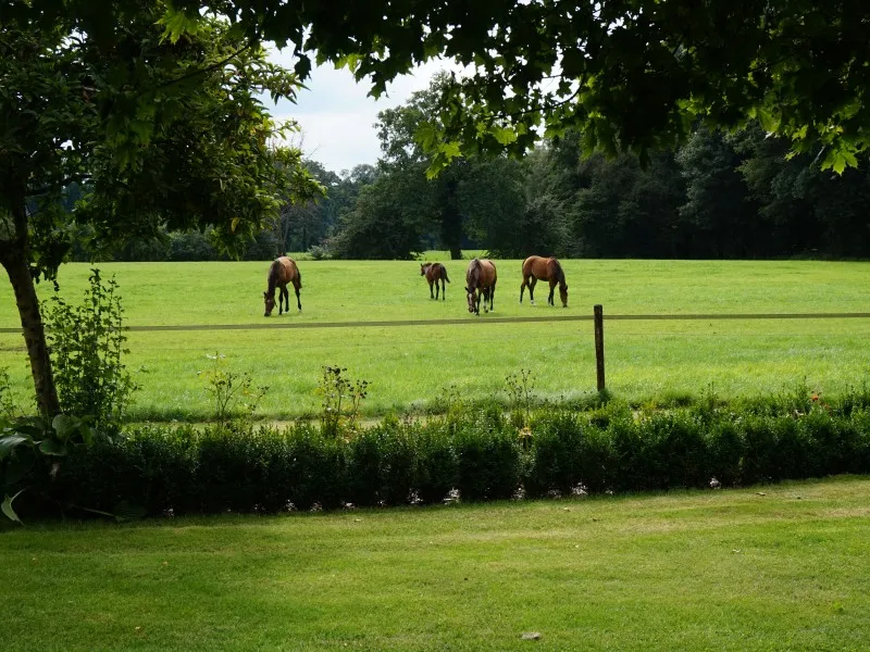 camping-kortschot-winterswijk-dv0lt