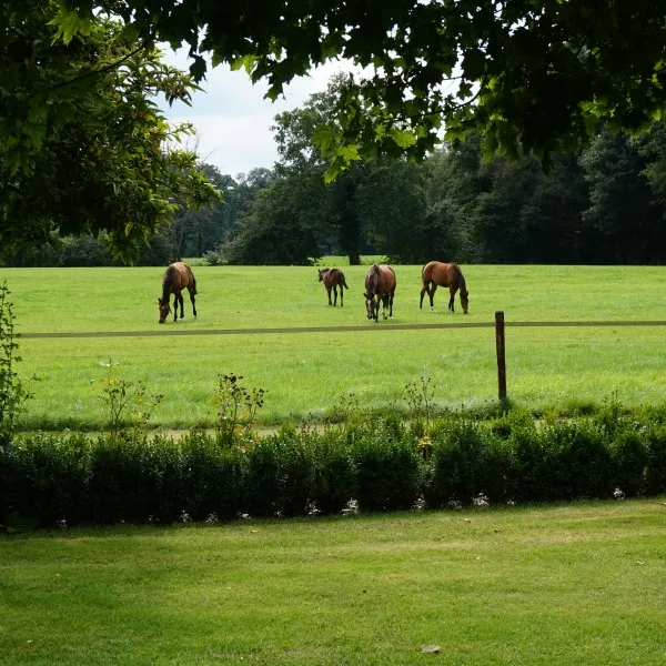 camping-kortschot-winterswijk-dv0lt