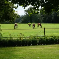 camping-kortschot-winterswijk-dv0lt