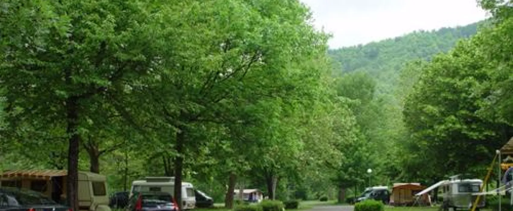 Flower Camping - Le Pont Du Tarn  